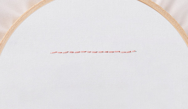 Embroidery 101: How to Embroider A Whipped Back Stitch