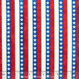 Stonehenge - Celebration 2 Flag Stripes Yardage