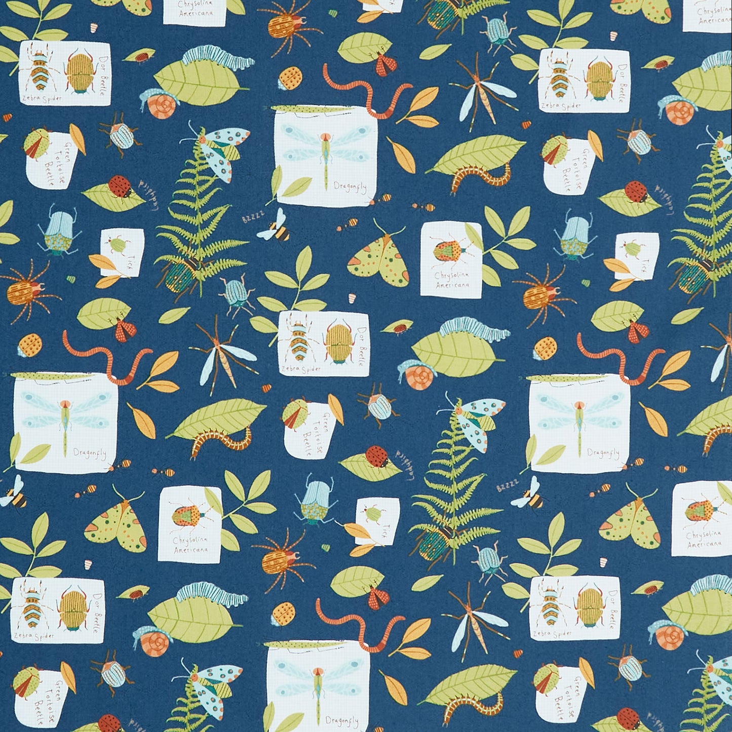 Backyard Bug Collector - Bug Collection Navy Multi Yardage Primary Image