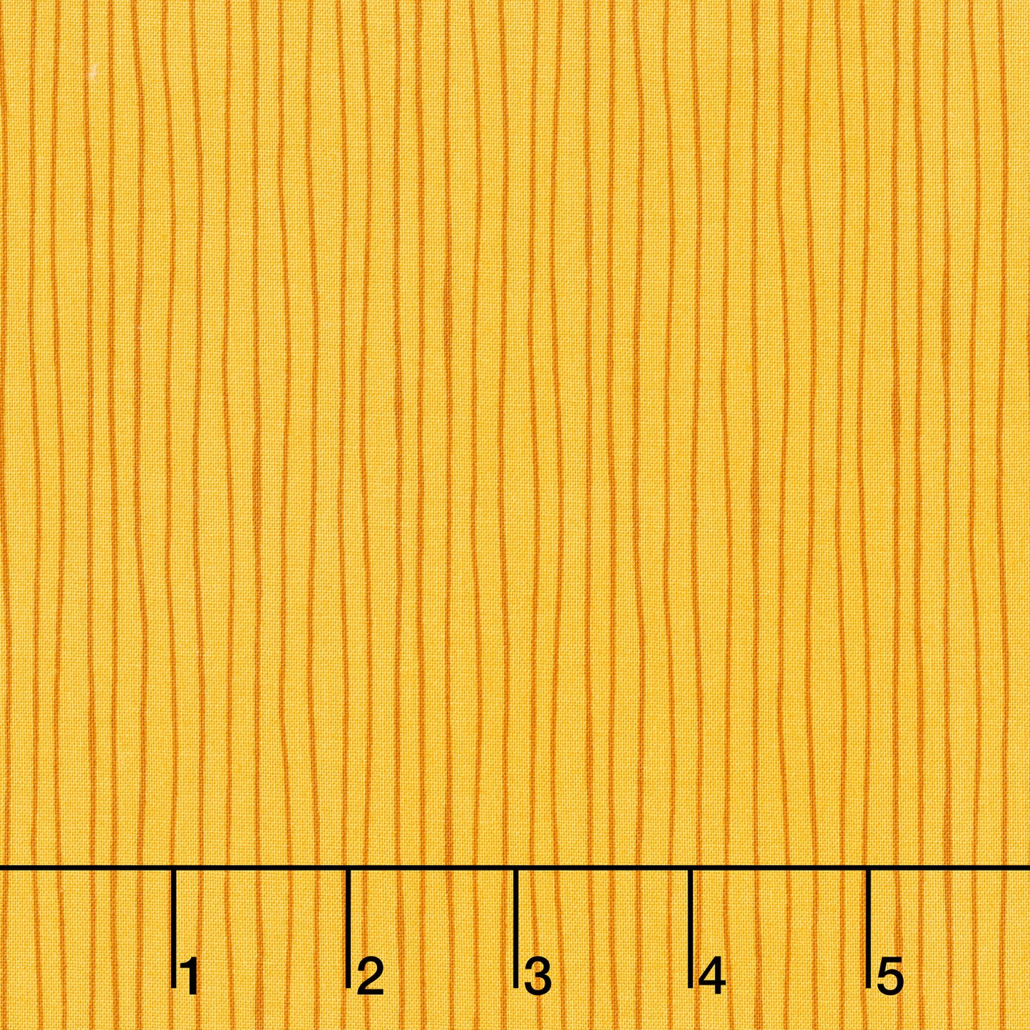 Backyard Bug Collector - Stripe Yellow Yardage Primary Image