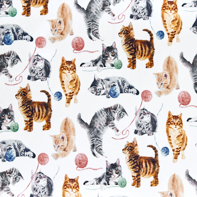 Cuddle Prints - Cat Nip Multi Yardage Primary Image