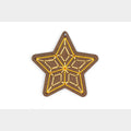 Gingerbread Star Stitched Ornament Kit