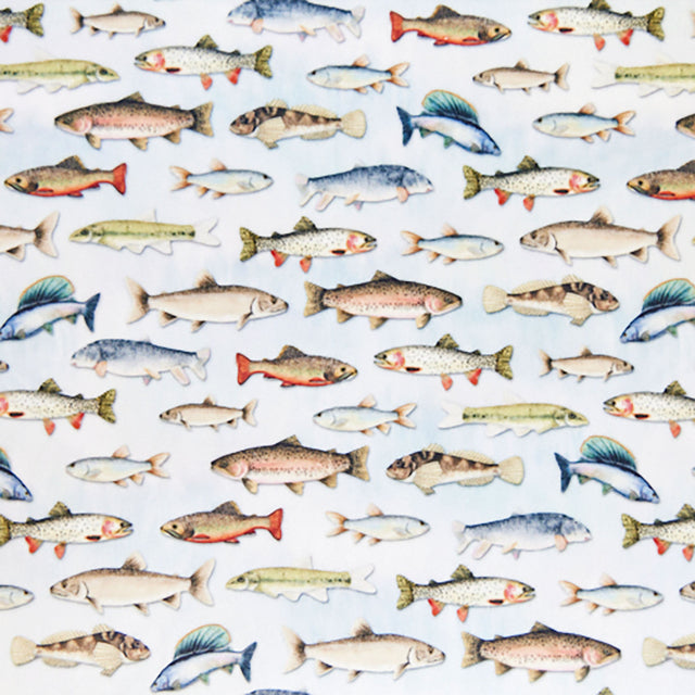 Cuddle Prints - Plenty Of Fish Multi Yardage Primary Image