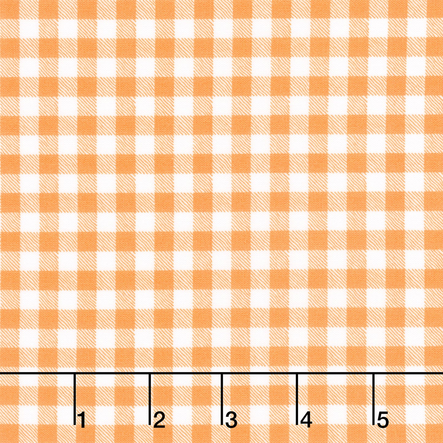 Pumpkin Patch (Riley Blake) - Gingham Orange Yardage Primary Image