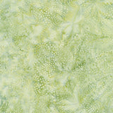 Full Bloom Batiks - Dots Dark and Light Green Yardage Primary Image