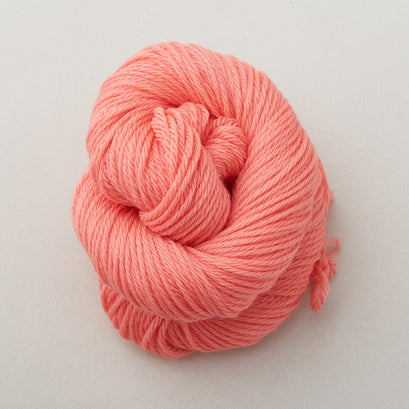 220 Superwash Sport Yarn - Discontinued Colors, Georgia Peach(315)