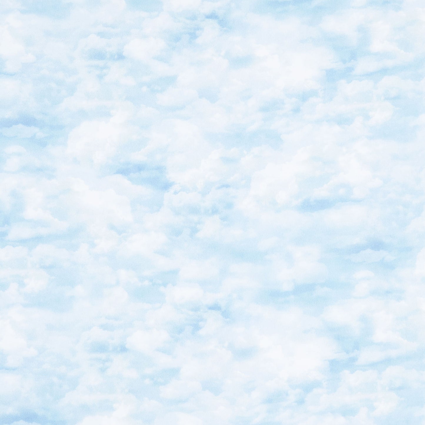 Naturescapes - Northwood - Clouds Blue Yardage Primary Image