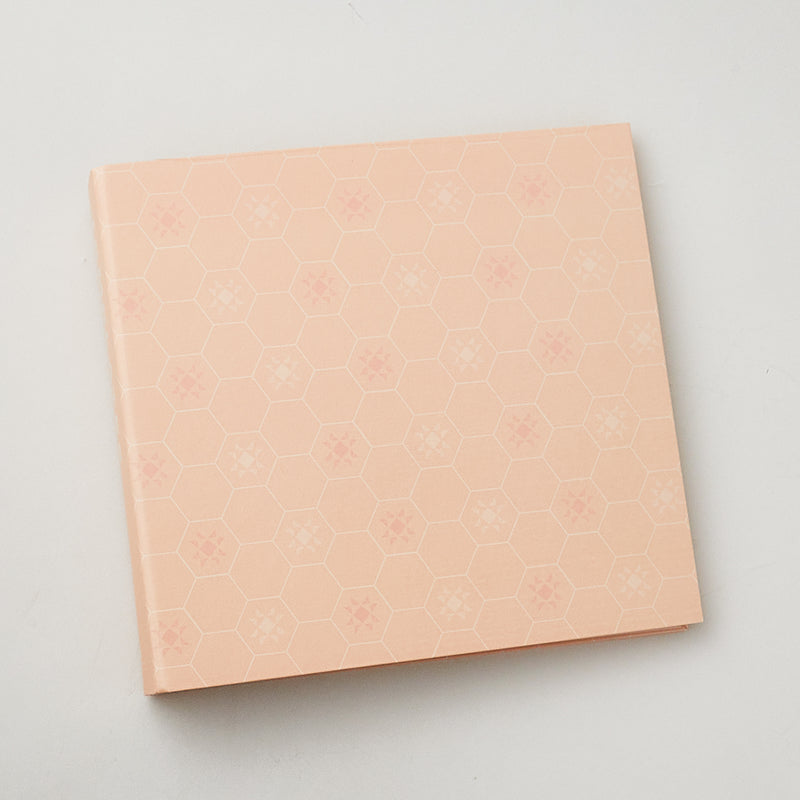 Missouri Star Peach Hexi Template Binder