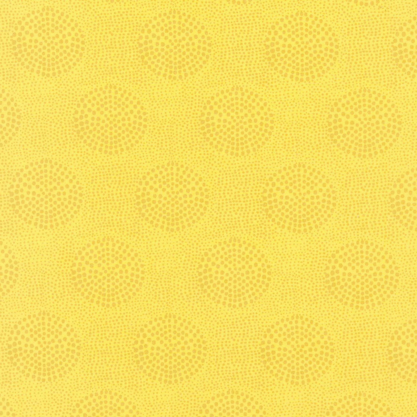 Mosaic - Yellow 108" Wide Backing Primary Image