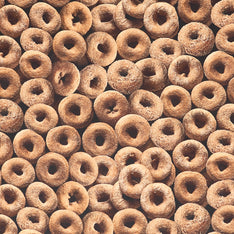 Cider Season - Packed Gingerbread Donut Yardage Primary Image