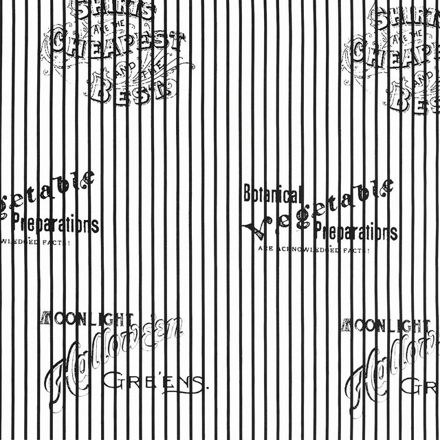 Pumpkin Patch (Riley Blake) - Silver Lining Stripe White Yardage Primary Image