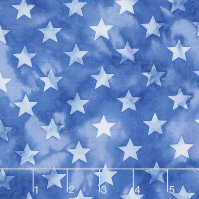 Freedom Batiks - Stars Blue & White Yardage