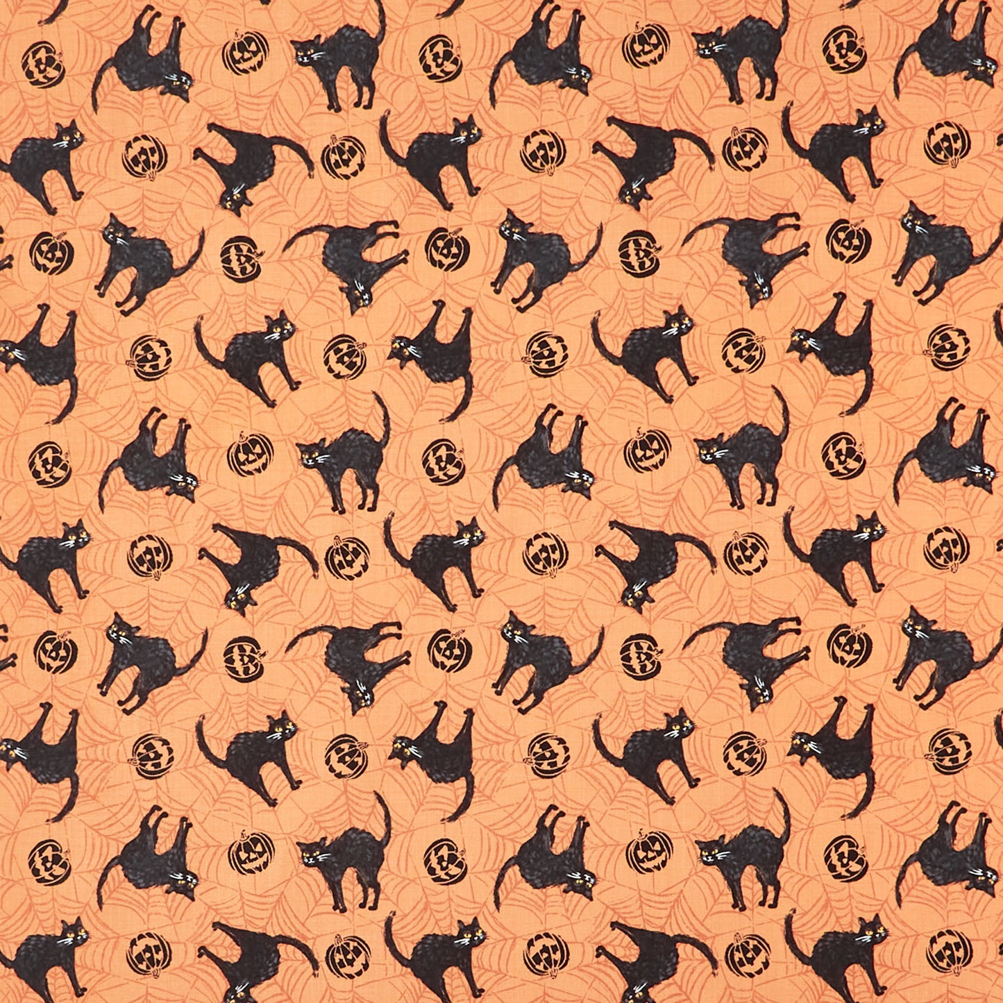 Meow-Gical Night - Scaredy Cats Orange Yardage Primary Image