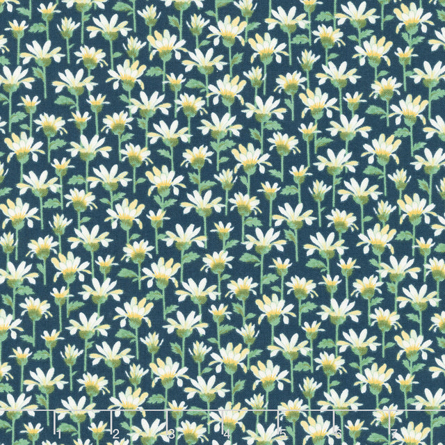 Willoughby - Daisy Navy Yardage Primary Image