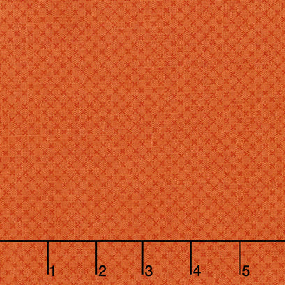 Kisses - Kisses Tone On Tone Color Pumpkin Yardage