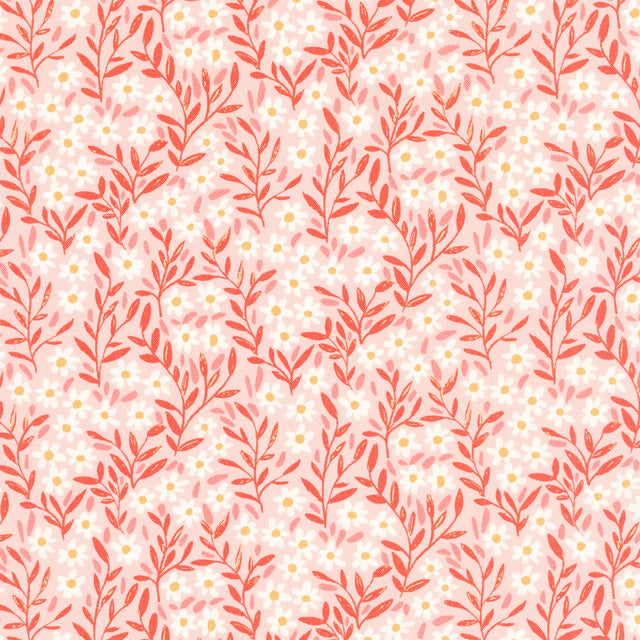 Kindred (Moda) - Daisy Blush Yardage Primary Image