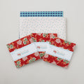 Lori Holt Christmas Candy Table Runner Kit