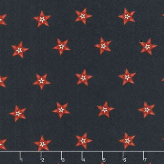 Star & Stripe Gatherings - Star in a Star Navy Yardage