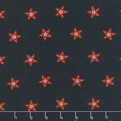 Star & Stripe Gatherings - Star in a Star Navy Yardage