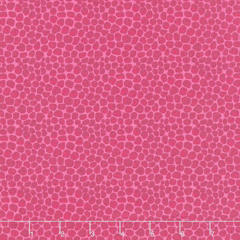 Fragrant Fields - Stony Path Hot PInk Yardage Primary Image