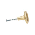 Button Cabinet Knob - Polished Brass