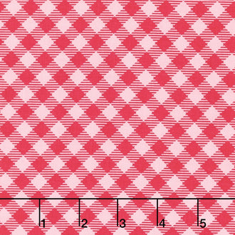 Bee Basics - Gingham Raspberry Yardage