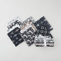 Star Wars Light and Dark Collection Fat Quarter Bundle Primary Image