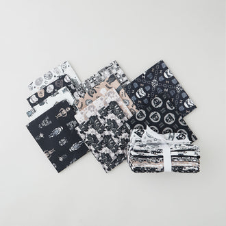 Star Wars Light and Dark Collection Fat Quarter Bundle