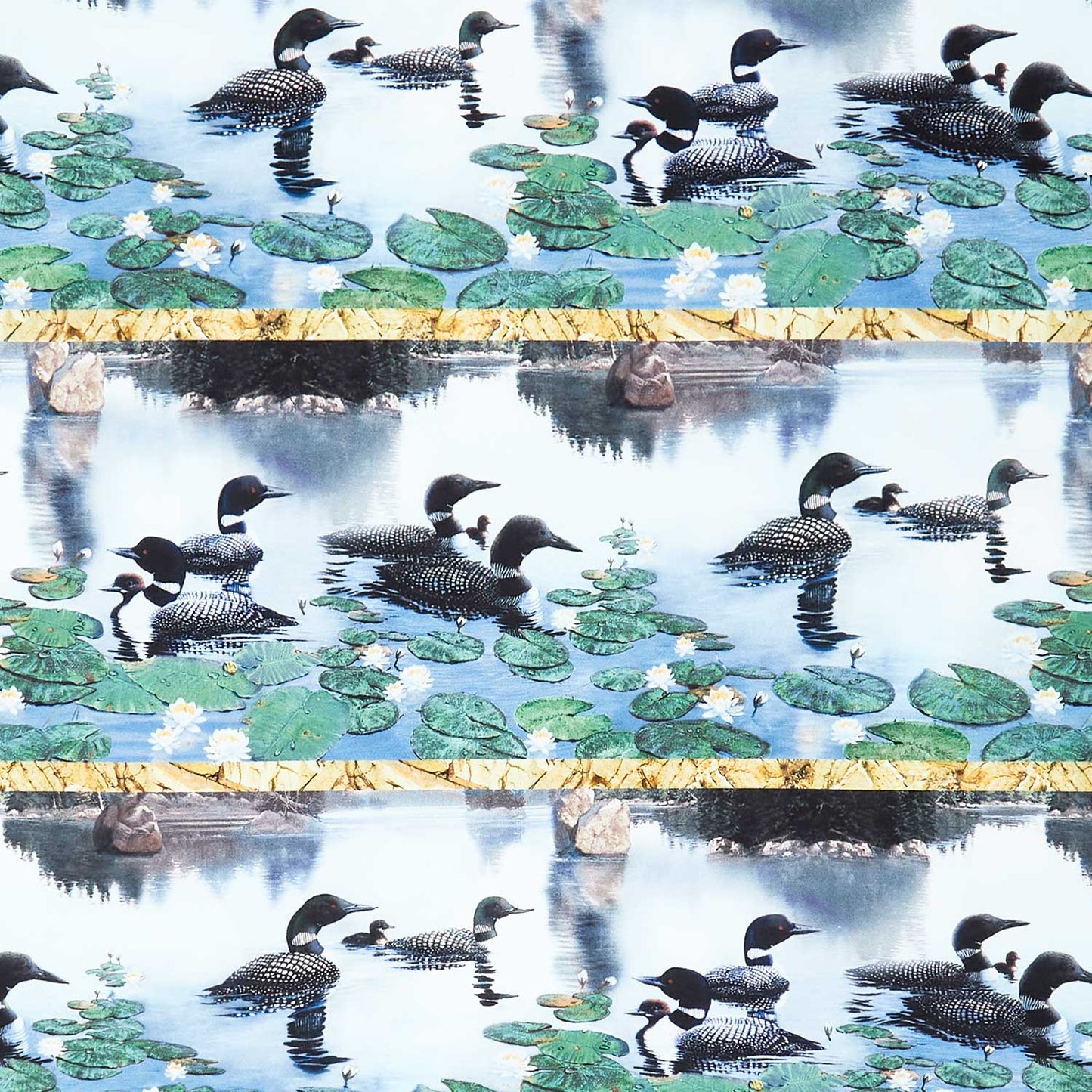 Naturescapes - Still Waters - Loon Border Stripe Multi Yardage Primary Image