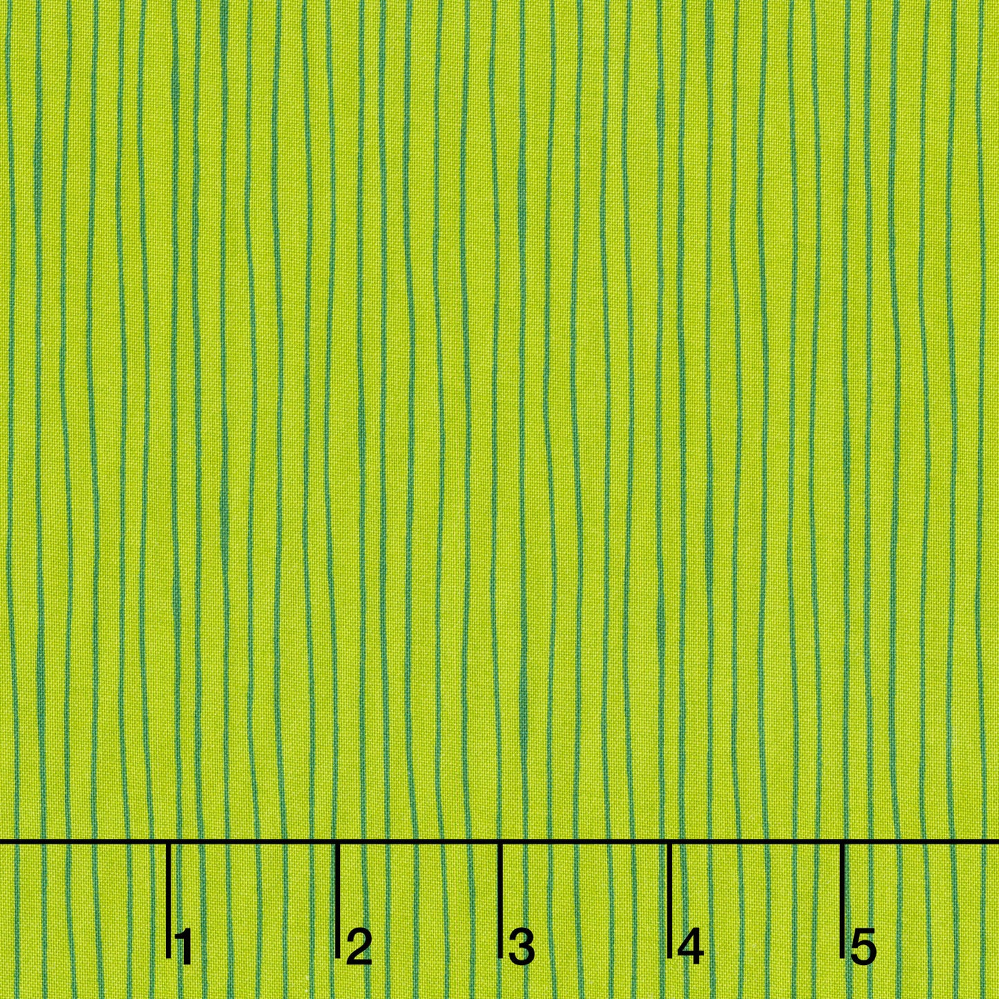 Backyard Bug Collector - Stripe Olive Yardage Primary Image