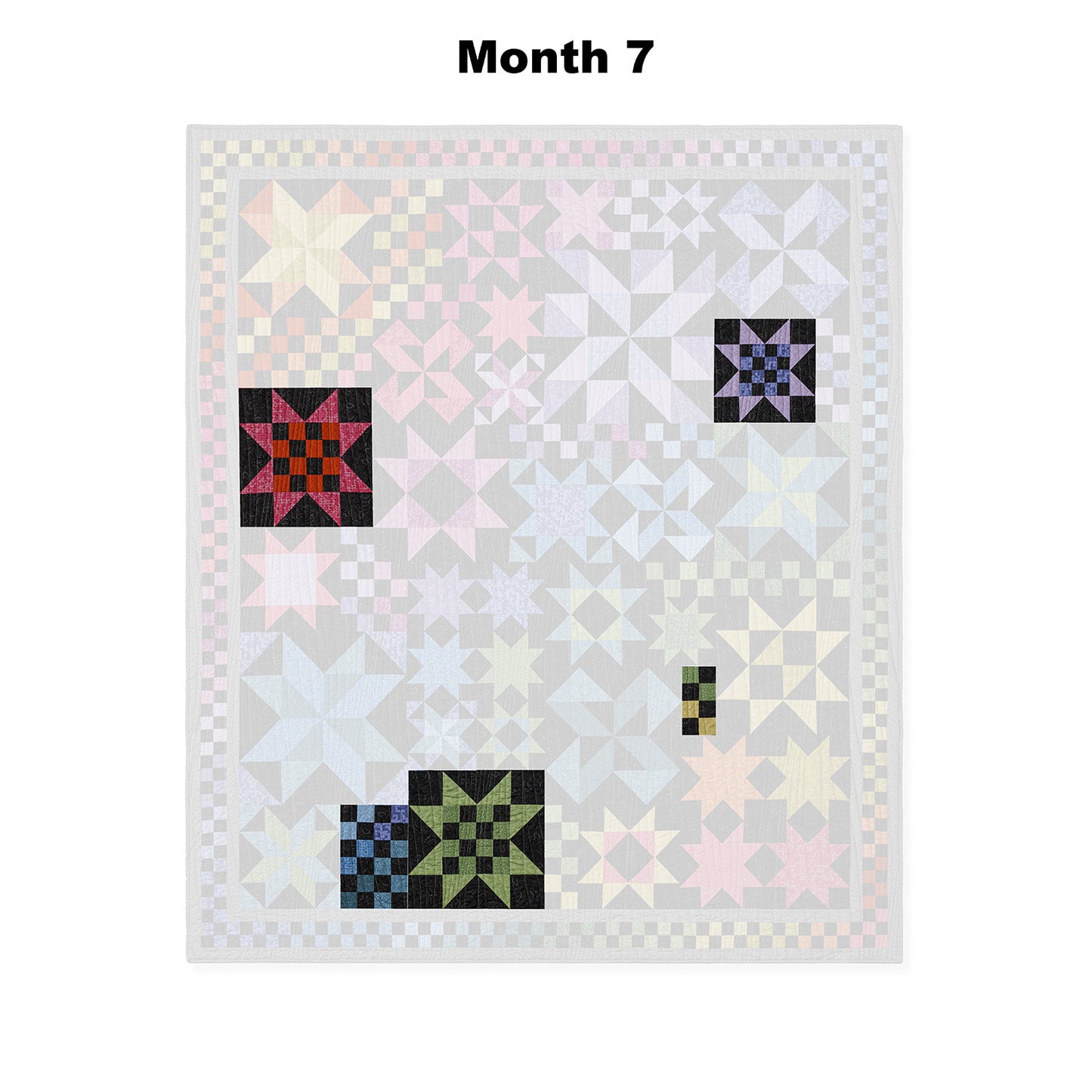 Country Skies at Night Block of the Month Alternative View #12