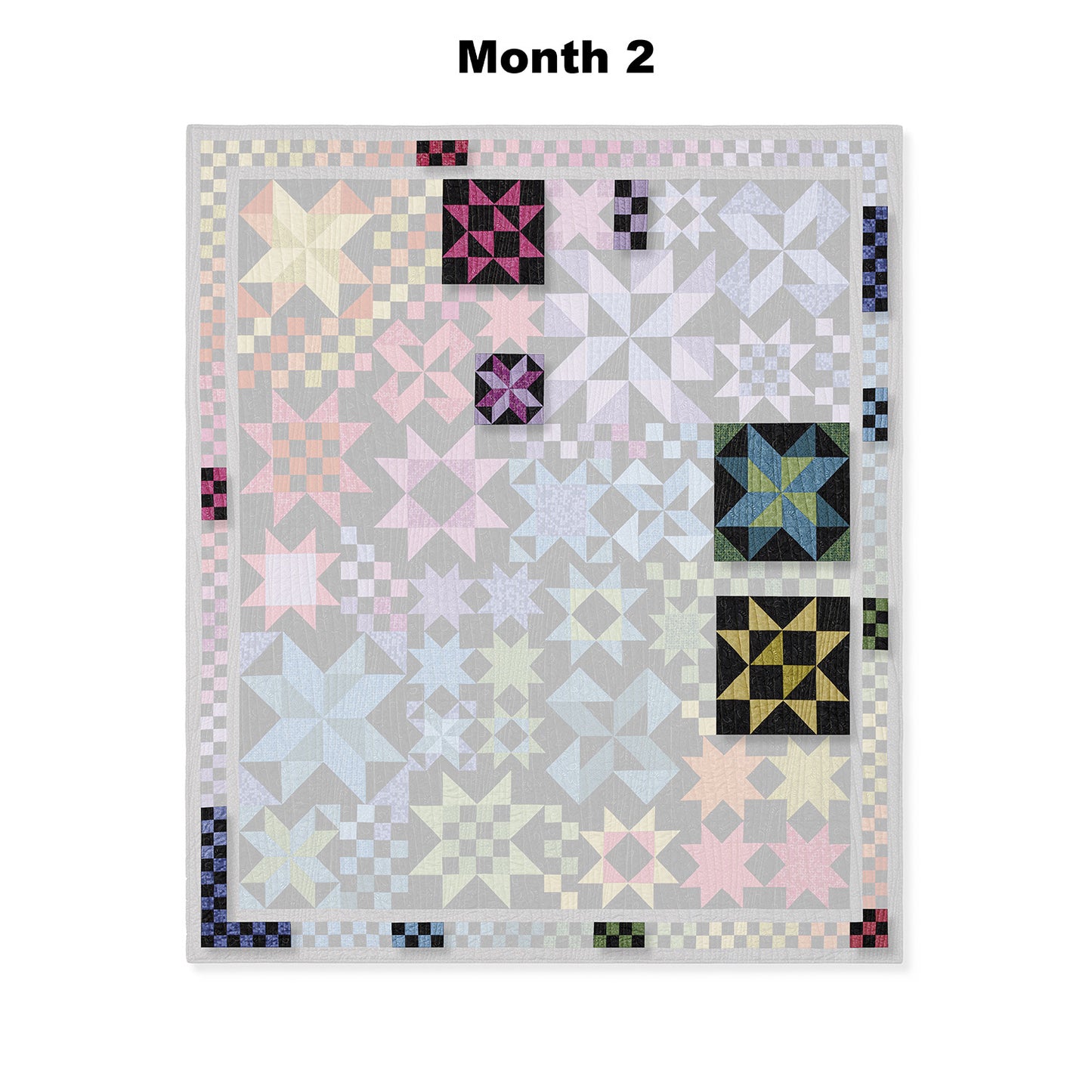 Country Skies at Night Block of the Month Alternative View #3