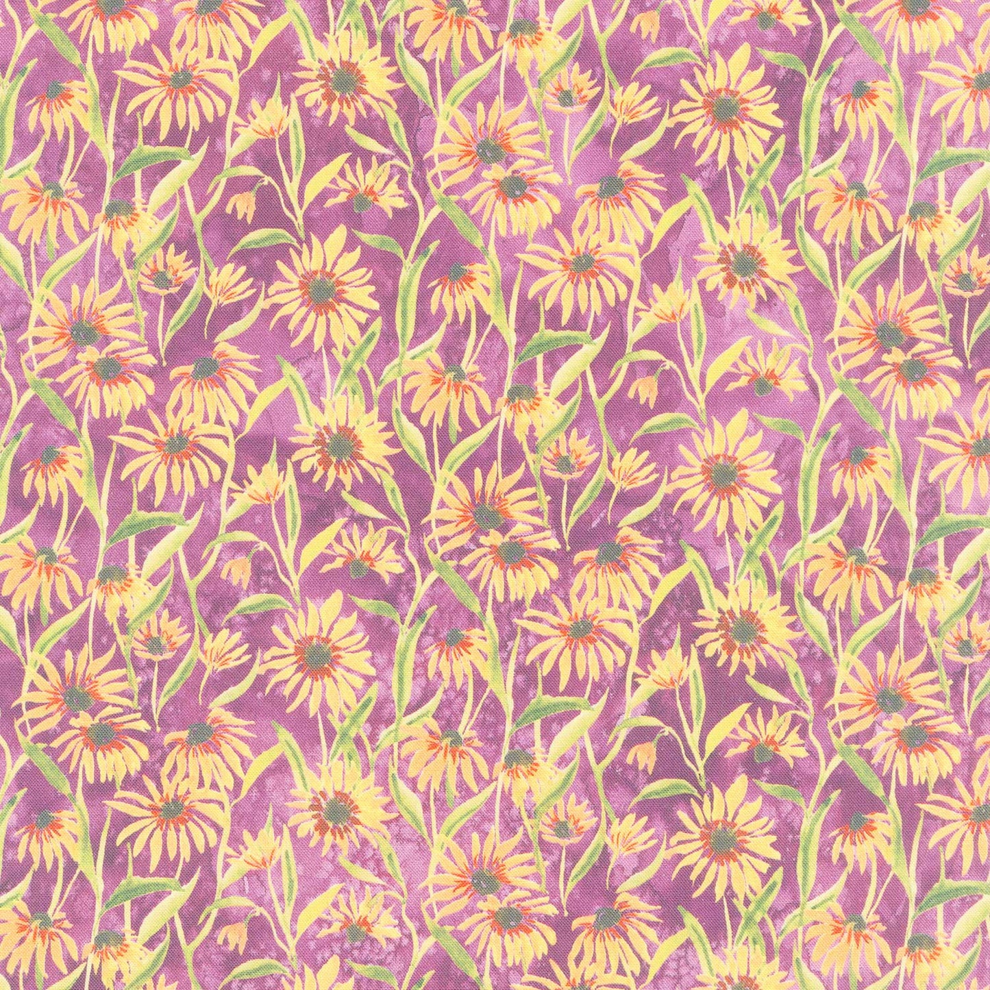 Floribunda - Blackeyed Suzie Q Violet Yardage Primary Image