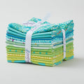 Saturday Stash Tula Pink Spearmint Fat Quarter Bundle Alternative View #1