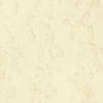 Luxe Cuddle® - Glacier Ivory Minky Yardage