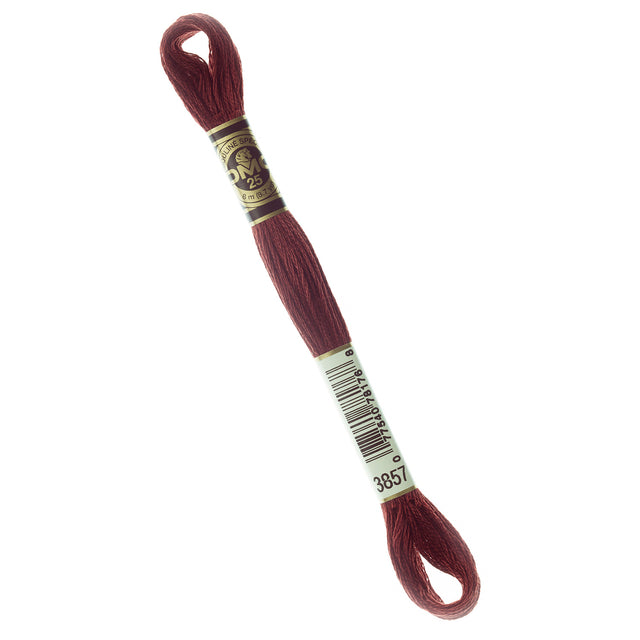 DMC Embroidery Floss - 3857 Dark Rosewood Primary Image