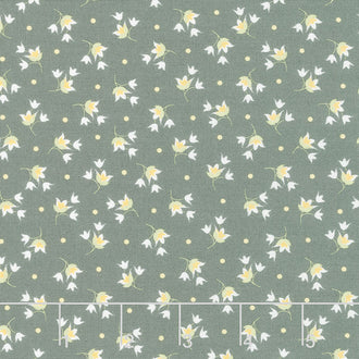 Buttercup and Slate - Tulip Slate Yardage