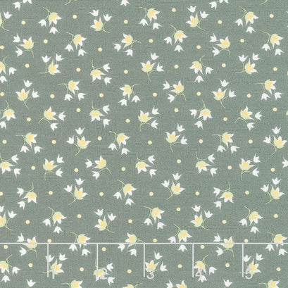 Buttercup and Slate - Tulip Slate Yardage