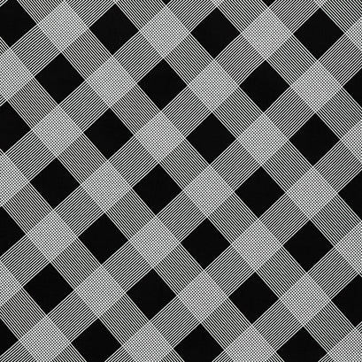 Fleur Noire - Line Plaid Black Yardage