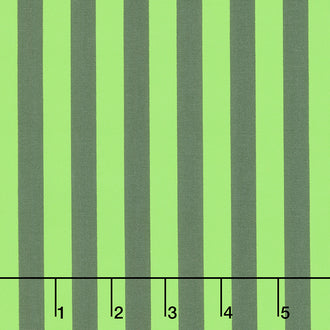 Tula Pink's True Colors - Tent Stripe Karma Yardage