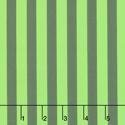 Tula Pink's True Colors - Tent Stripe Karma Yardage