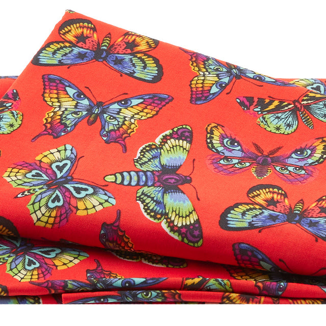 Daydreamer - Butterfly Kisses Papaya 2 Yard Cut Primary Image