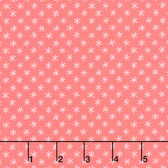 Century Rainbow - Big Asterisks Guava Punch Yardage