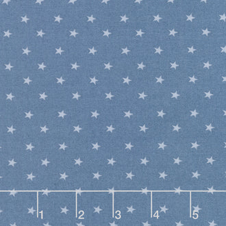 Coming Home - Stars Denim Yardage