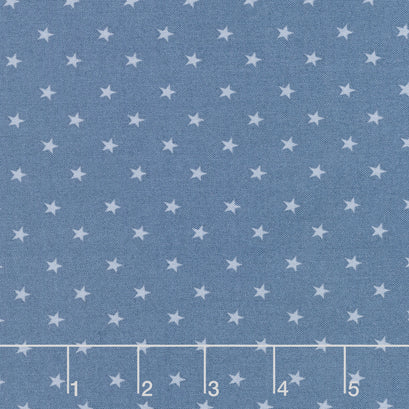 Coming Home - Stars Denim Yardage