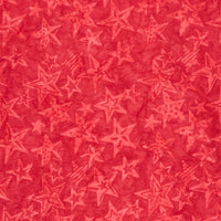 Tonga Batiks - Valor - Large Stars Leader Yardage Primary Image