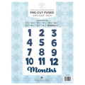 Missouri Star Month by Month Milestones Blanket Precut Fused Applique Pack Primary Image