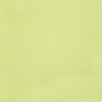 Cuddle® Solids - Apple Green 60" Minky Yardage