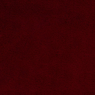 Luxe Cuddle® - Seal Merlot Minky Yardage