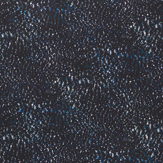 Earth Views - Dots Midnight Yardage